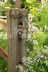 -2009 Courtyard. The Fenland Alchemist Garden (15).jpg