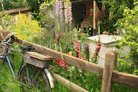 -2009 Courtyard. The Fenland Alchemist Garden (30).jpg