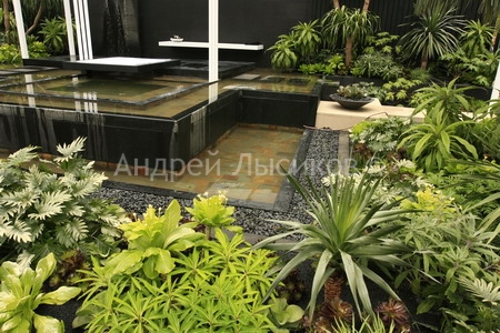 -2009 Show. The Canary Island Spa Garden (16).jpg