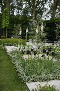 -2009 Show. The Daily Telegraph Garden (14).jpg