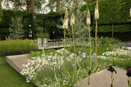 -2009 Show. The Daily Telegraph Garden (26).jpg