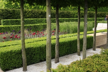 -2009 Show. The Laurent Perrier Garden (15).jpg