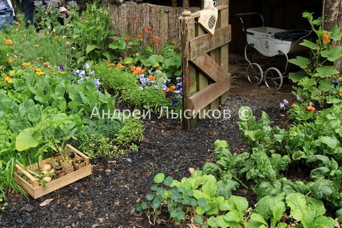  - 2011. Artisan. A Child s Garden in Wales (14).jpg