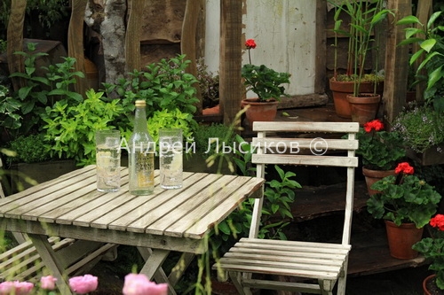  - 2011. Artisan.Fever-Tree s Tree House Garden (5).jpg