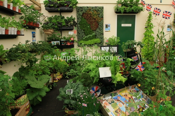 -2012. Generation Garden. Miracle Growers Learning Journey - Fruit & Vegetables (6).JPG