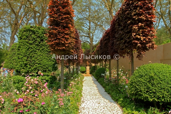 -2012. Show. The Laurent-Perrier Bicentenary Garden (26).JPG