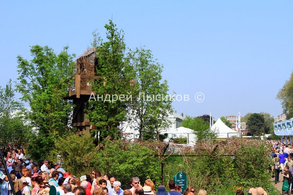 -2012. Show. Quiet Time. DMZ Forbidden Garden (5).JPG