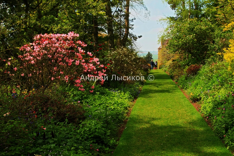 Knightshayes Court Garden - 2012 (70).jpg