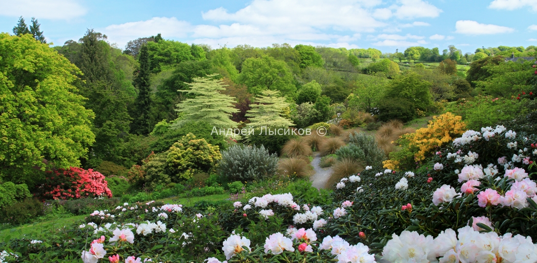 Panorama Garden House -           2012 .jpg