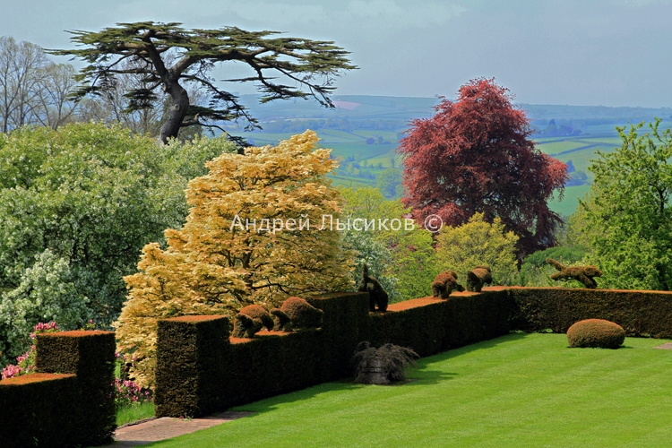 Knightshayes Court Garden - 2012 (52).jpg